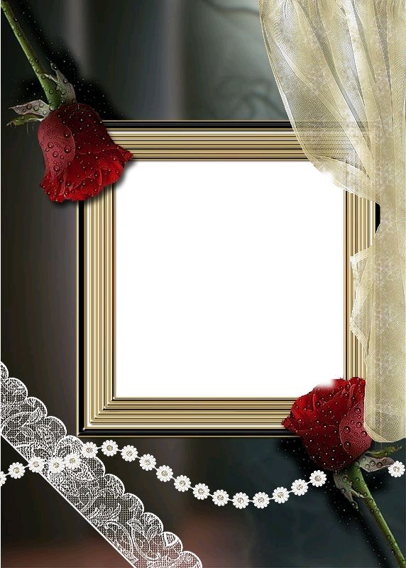 Rose w/ gold frame Photo frame effect