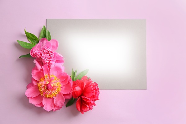 Beautiful flowers like you! Photomontage