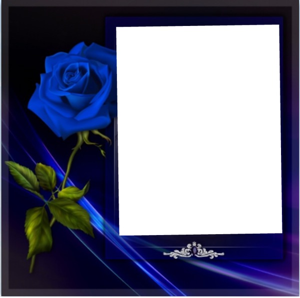 Blue rose Fotomontaža