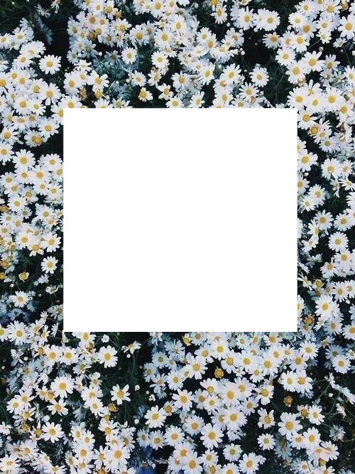 fleure jadore Fotomontage