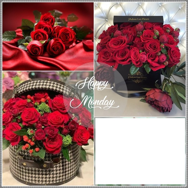 roses rouges Fotomontaža