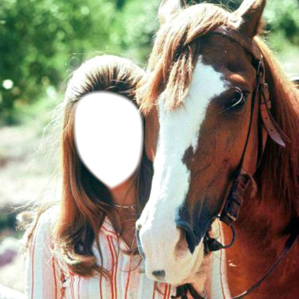 cheval Photomontage