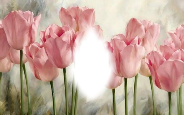 pink tulips フォトモンタージュ