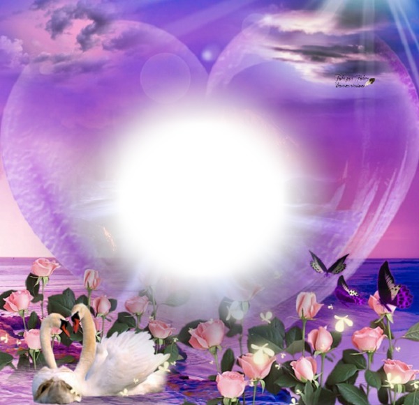 Coeur violet Фотомонтажа