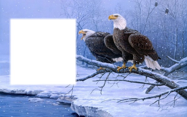 2 Adler im winter Photomontage