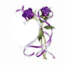 Rose violette Montage photo