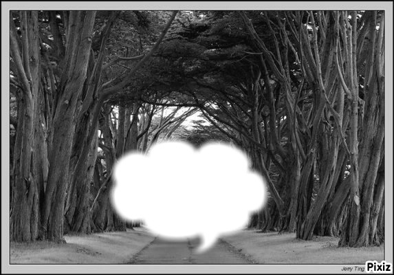 sous un arbre Fotomontage
