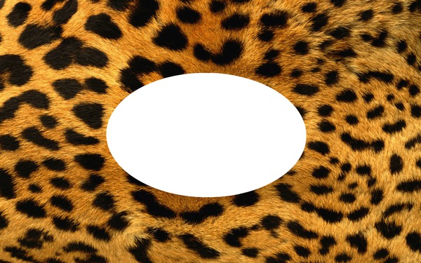 Leopard frame Photomontage