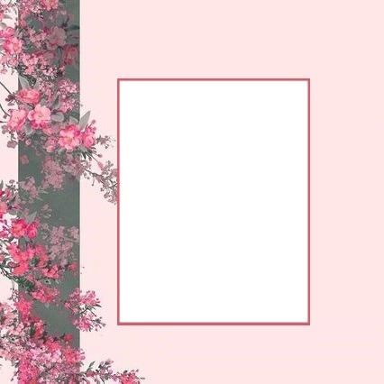 marco y flores rosadas. Fotomontaż
