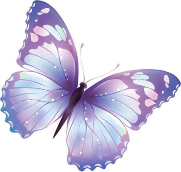 mariposa Photomontage