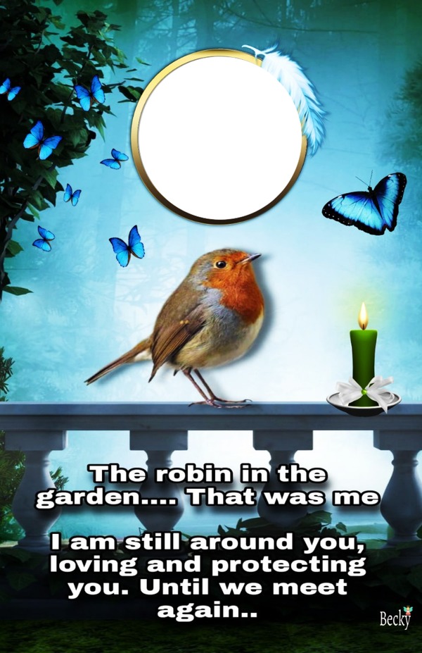 the robin Photomontage