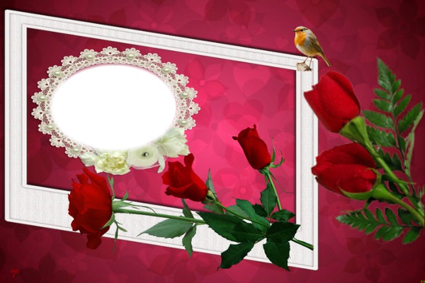 cadre de roses Photo frame effect