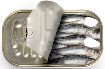 sardine Fotomontasje