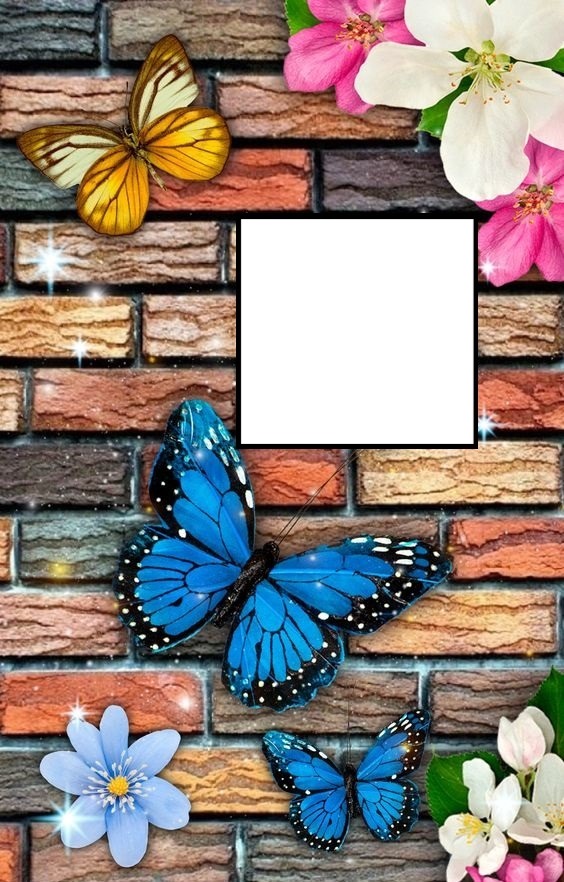 mariposas y flores en pared. Photomontage