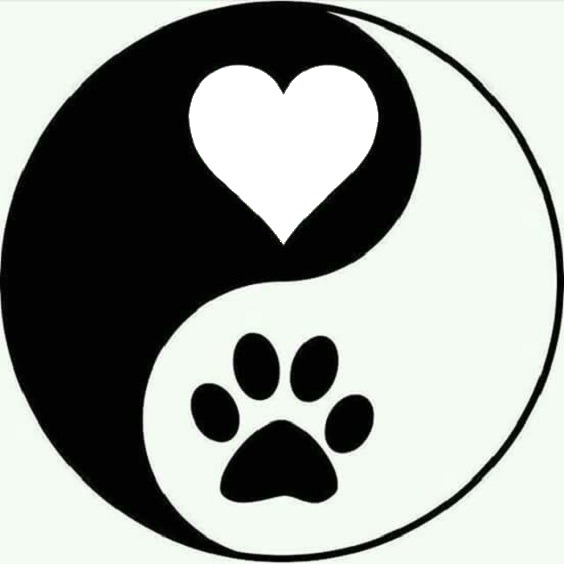 yin yang, corazón y huellita. Photomontage