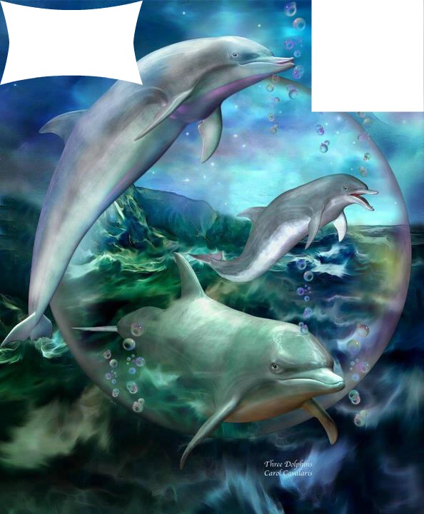 Dolphins Photo frame effect