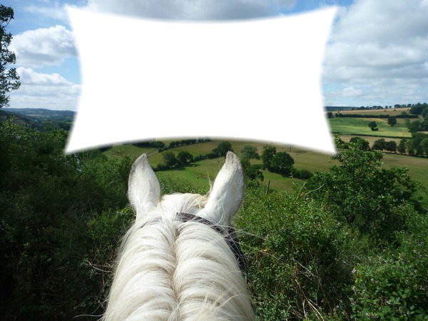 paysage cheval Fotomontāža