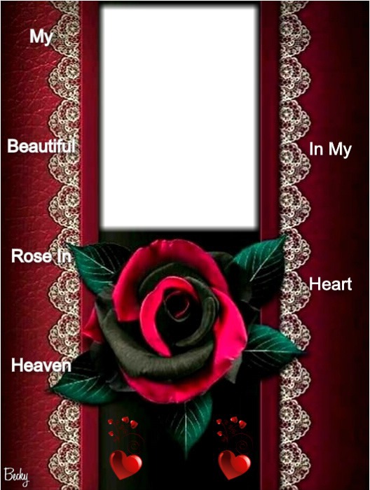 my beautiful rose Fotomontāža