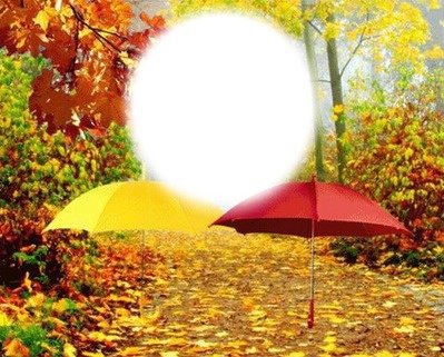 Pluie d'automne - parapluie Montaje fotografico
