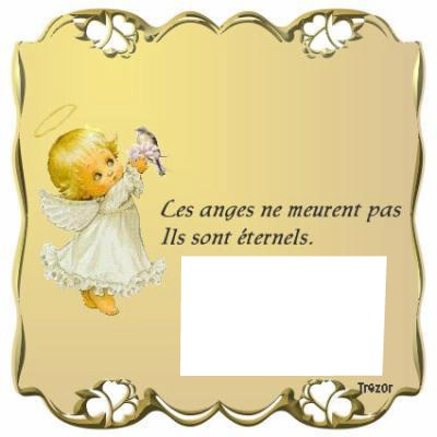 anges Montage photo