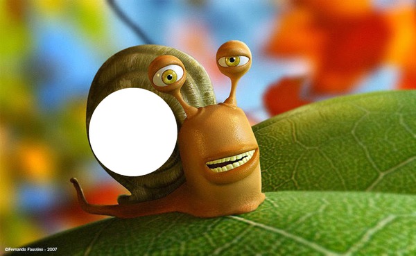 caracol / snail Montaje fotografico