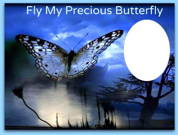 fly butterfly Photomontage