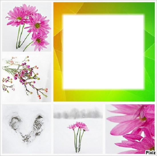 Flowers/* Fotomontaggio