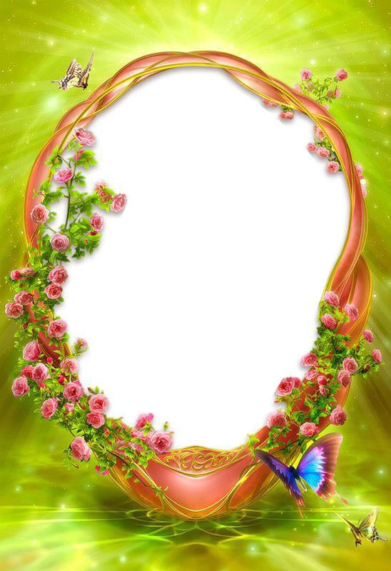 Cadre-fleurs-papillons-fond vert Фотомонтаж
