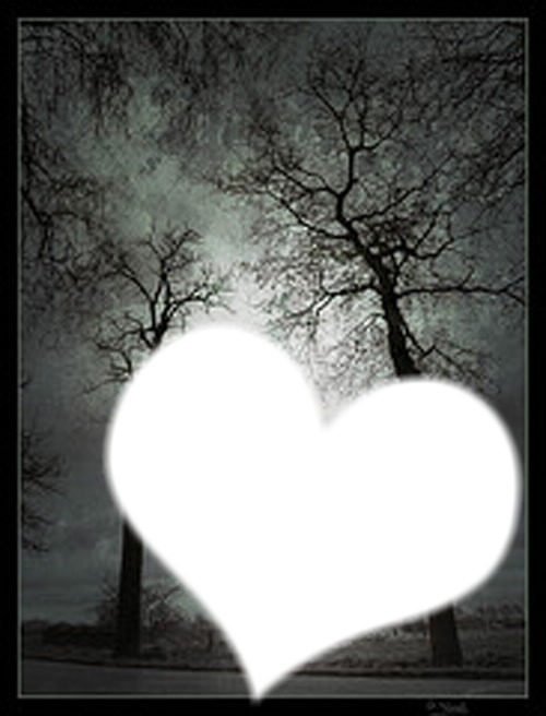 coeur noir et blanc Photomontage