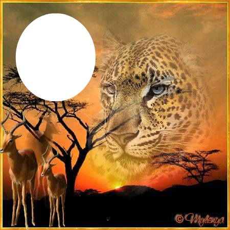 leopard Fotomontasje