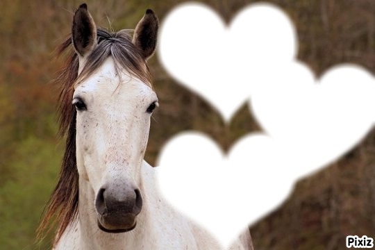 chevaux du coeur <3<3<3 Photomontage