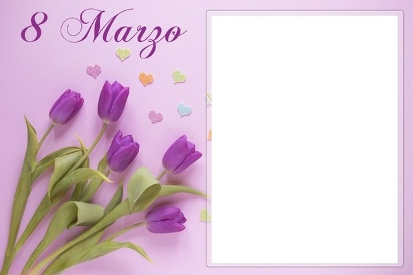 8 de marzo, tulipanes lila. Fotómontázs