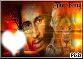 Bob Marley & The lion Photomontage