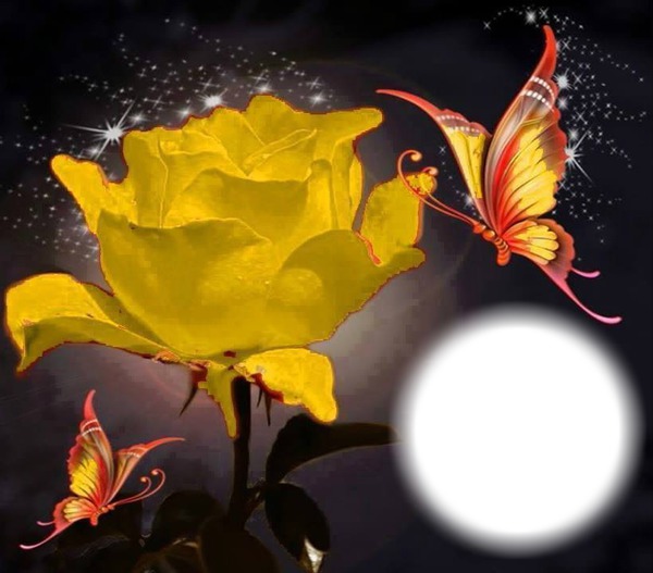 "Rose jaune" Photo frame effect