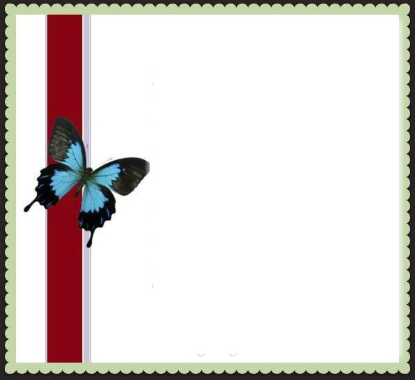 vlinder Fotomontage