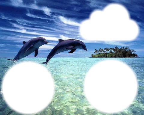 dauphins Montaje fotografico
