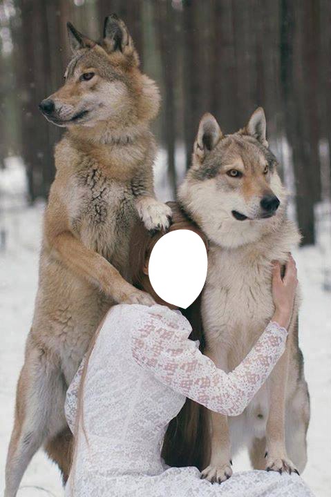 woman wolf Fotomontāža