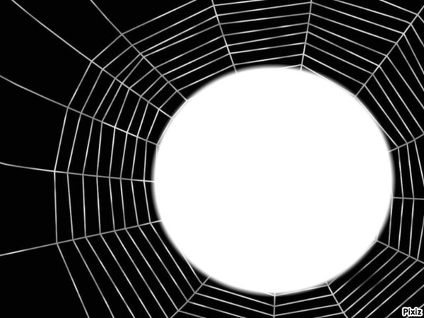 cadre spider Photomontage