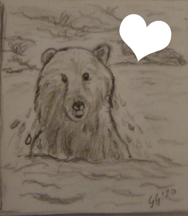 l'ours dessin fait par Gino GIBILARO Montaje fotografico