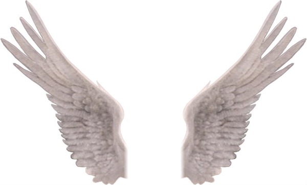 ailes d'ange Фотомонтажа