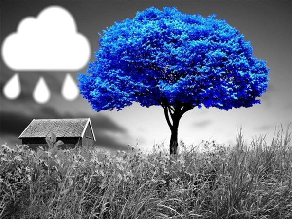nube-lloviendo-arbol-azul Fotomontage