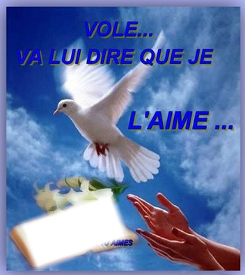 une colombe pour l amour Photo frame effect