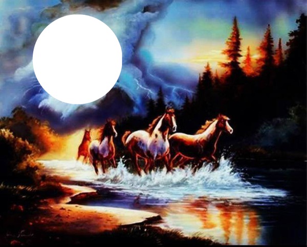 cheval nuit Montage photo