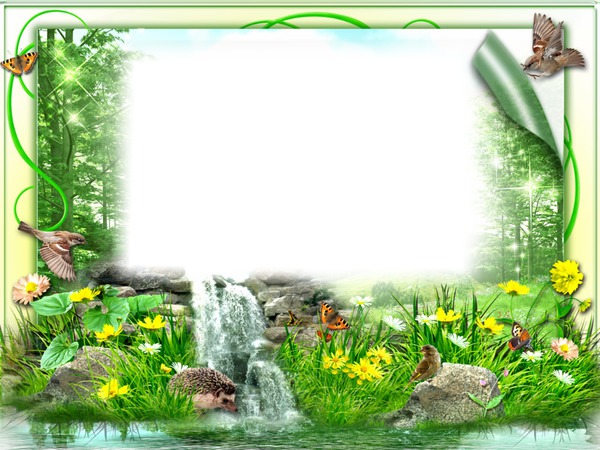 Nature Photo frame effect