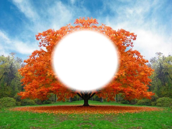 Arbre d'automne Photomontage