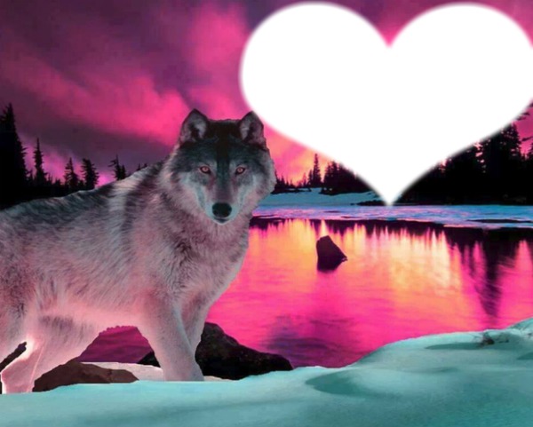 wolves Photomontage