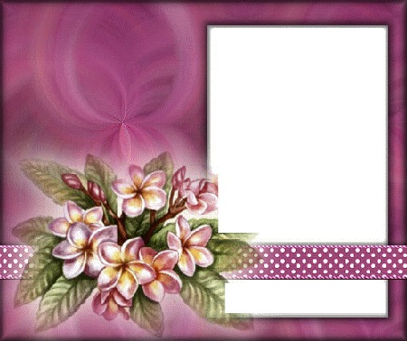 cadre fleurs rose Fotomontage