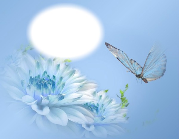 Fleur blanche-fond bleu-papillon フォトモンタージュ
