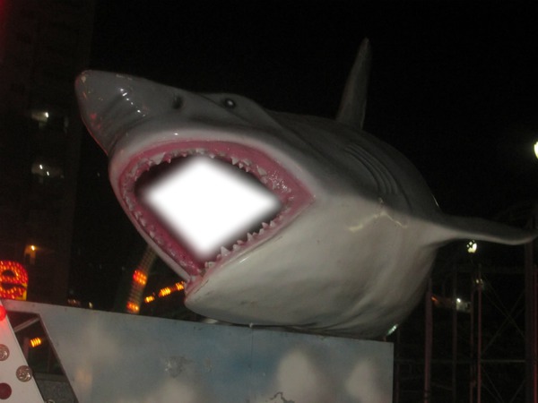 tubarão Fotomontagem