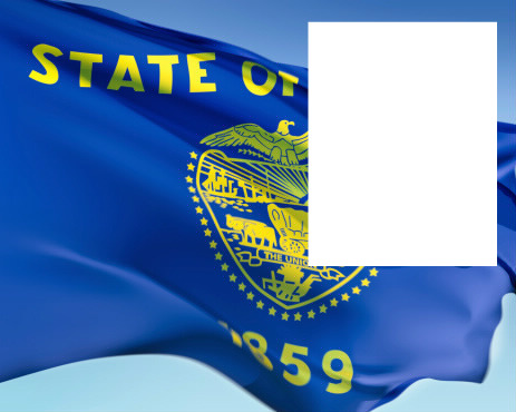 Oregon flag Фотомонтаж